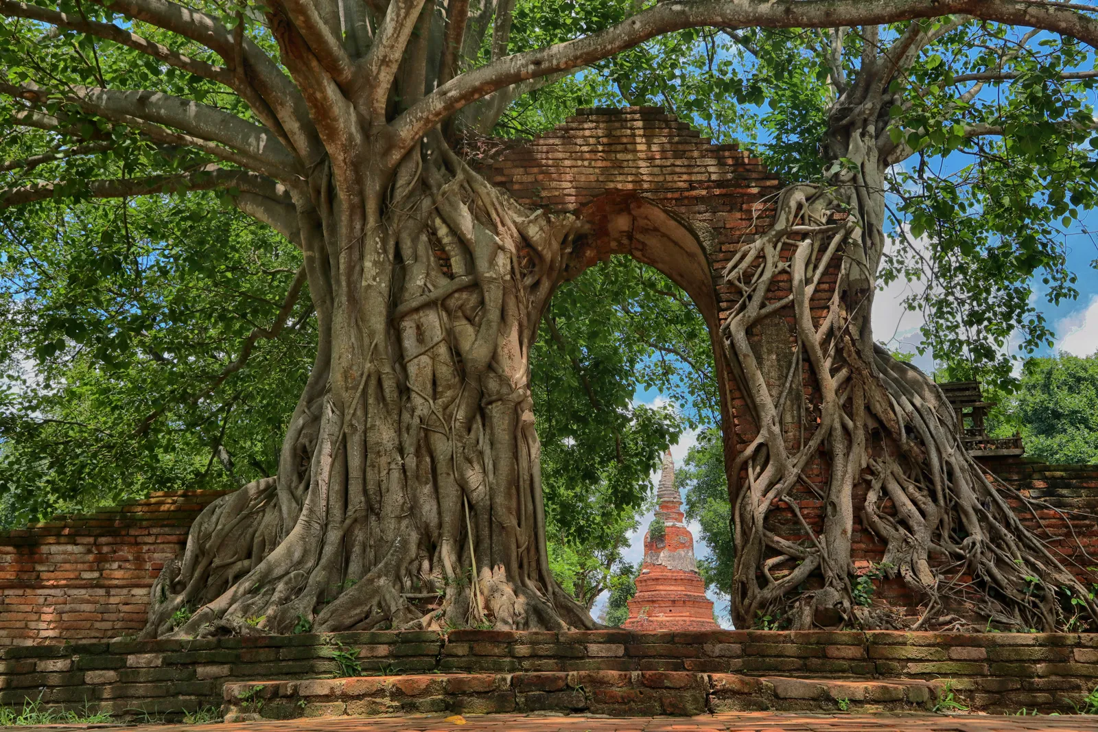 วัดพระงาม